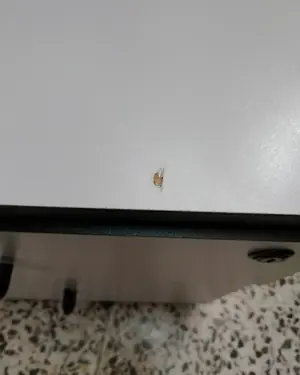Archivador de oficina blanco con ruedas - miniatura 4