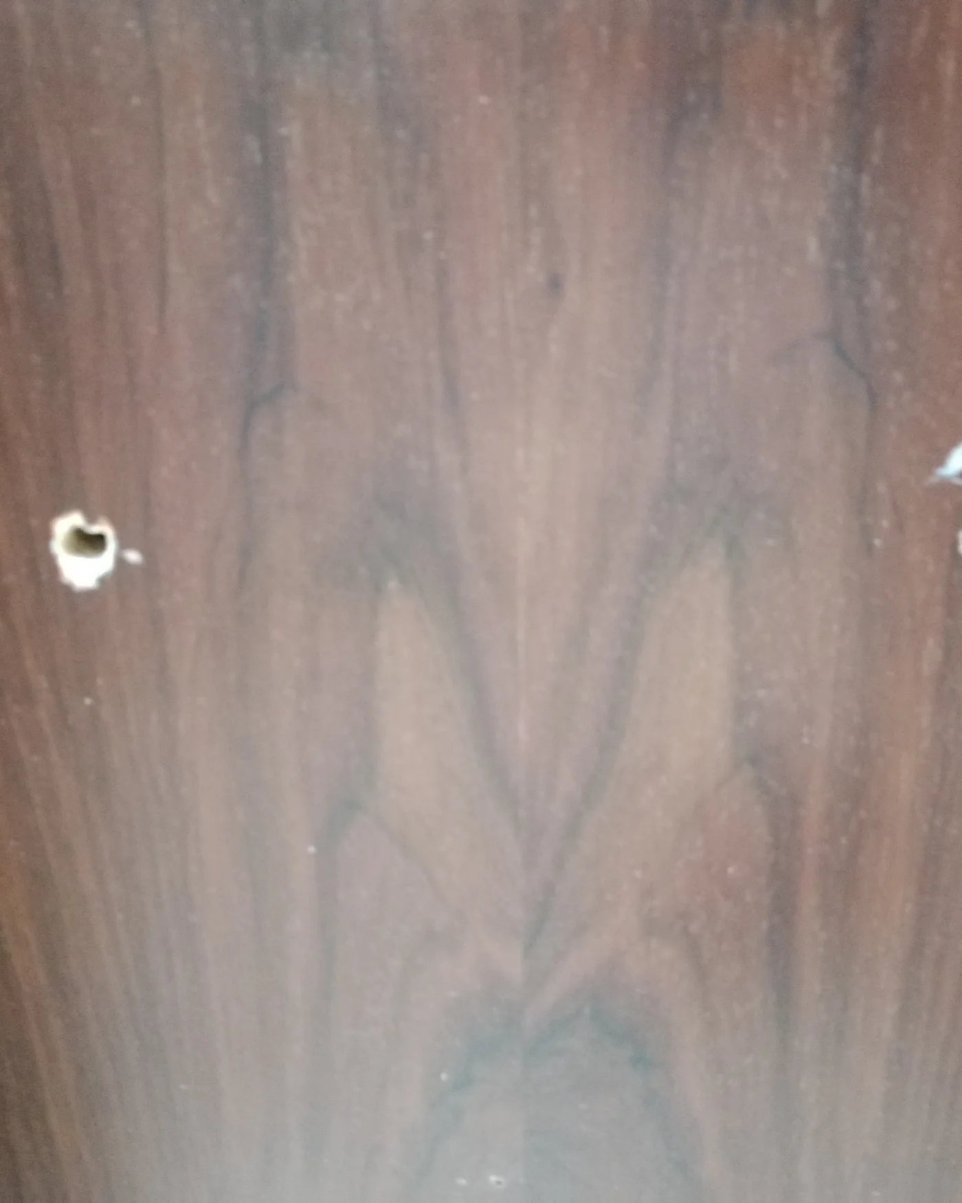 Mueble bajo de oficina vintage con dos puertas y estante interior - imagen 5