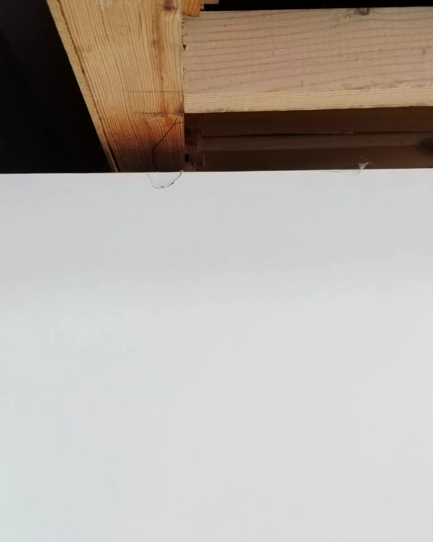 Mueble bajo para Tv Blanco - imagen 4