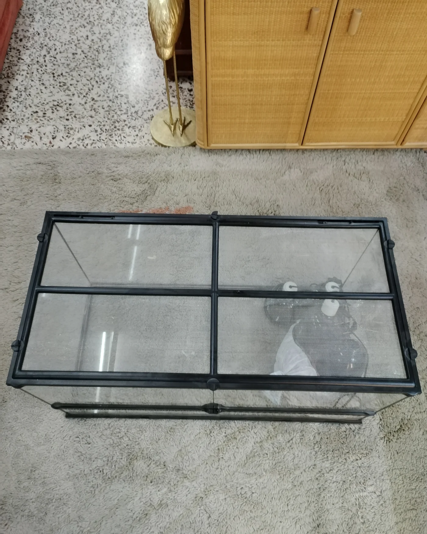 Terrario con Juego de Lámparas - imagen 3