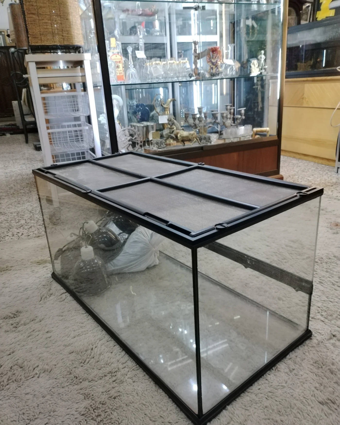 Terrario con Juego de Lámparas - imagen 4
