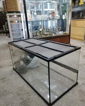 Terrario con Juego de Lámparas - miniatura 4