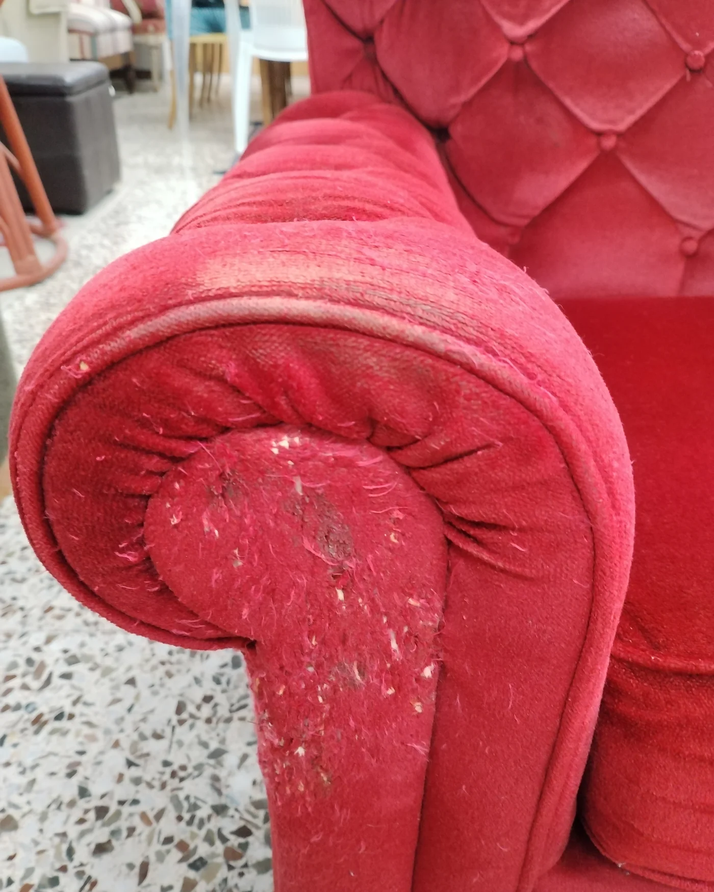 Sillón Chester en terciopelo rojo con botones - imagen 2