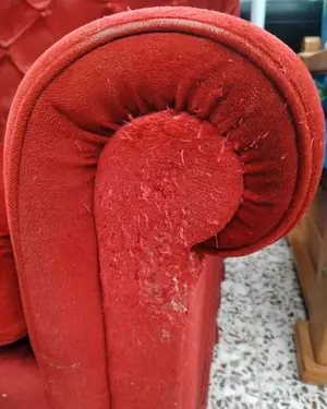 Sillón Chester en terciopelo rojo con botones - miniatura 3