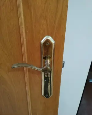 Puerta de madera interior con herrajes de latón - miniatura 2