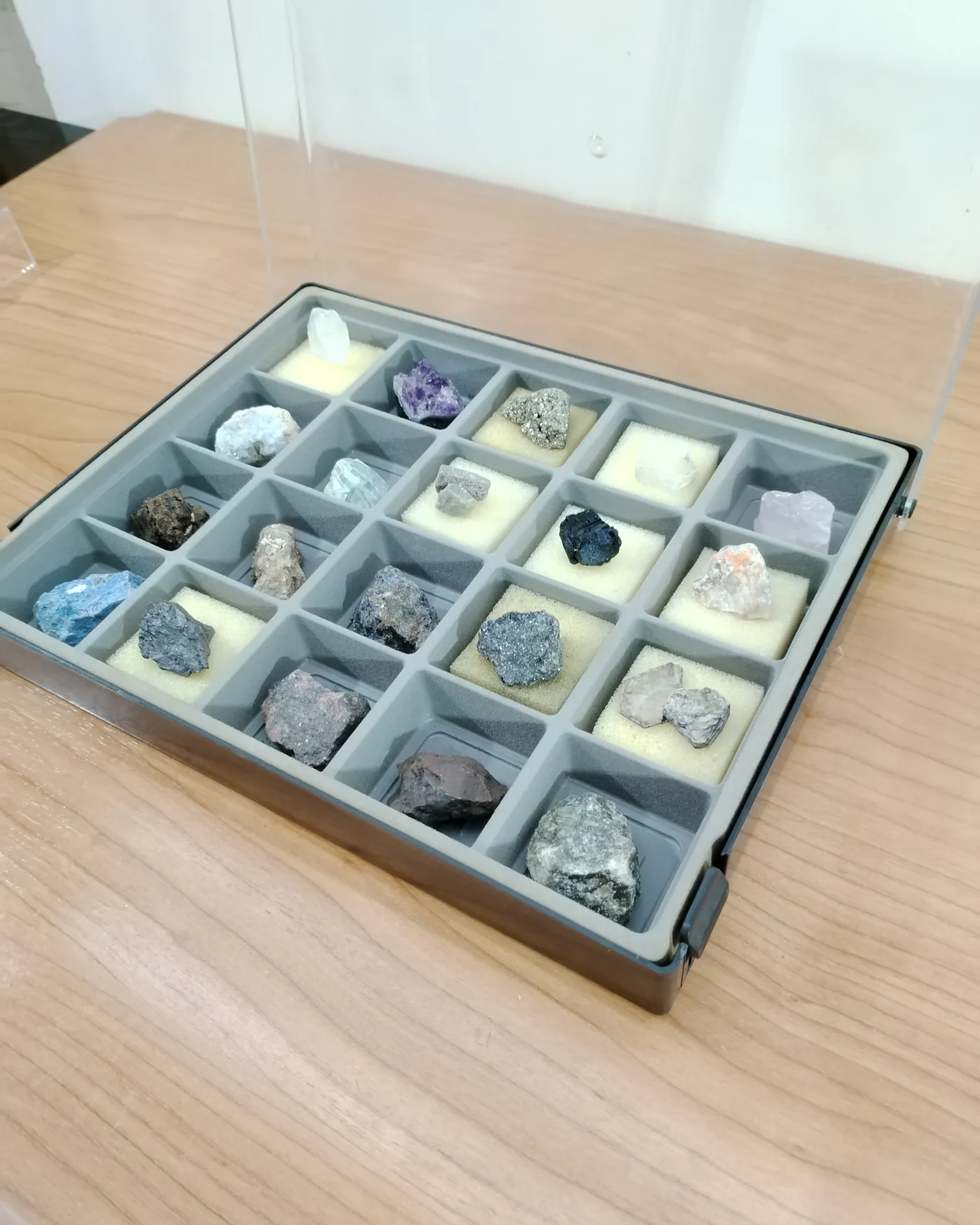 Colección de minerales geológicos en caja de exhibición - imagen 5