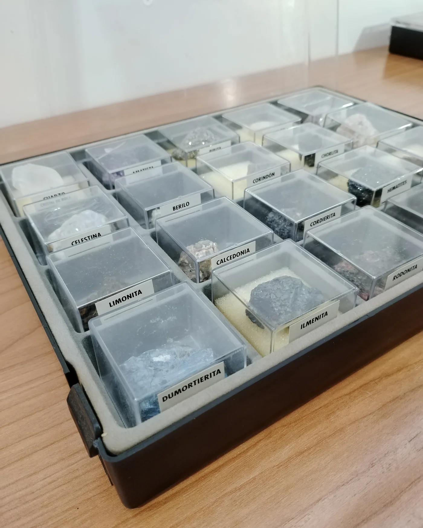 Colección de minerales geológicos en caja de exhibición - imagen 2