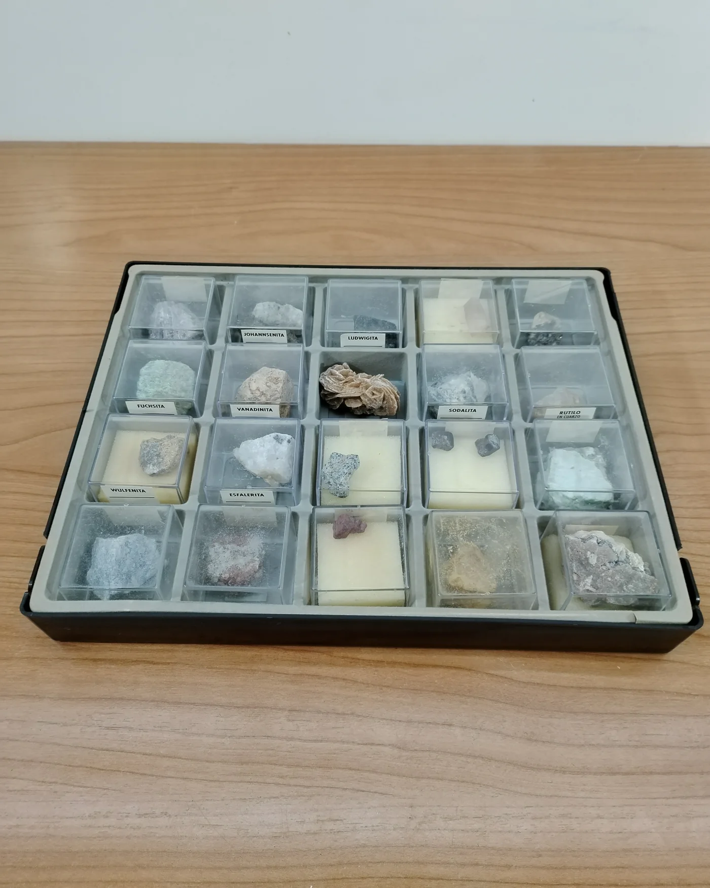 Colección de minerales geológicos en caja de exhibición - imagen 1
