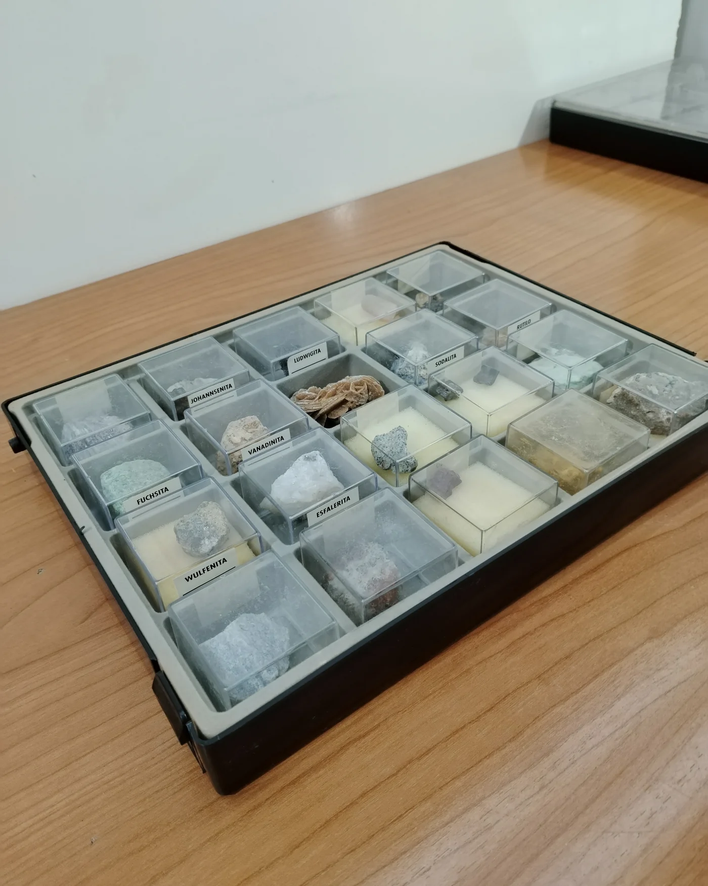 Colección de minerales geológicos en caja de exhibición - imagen 2