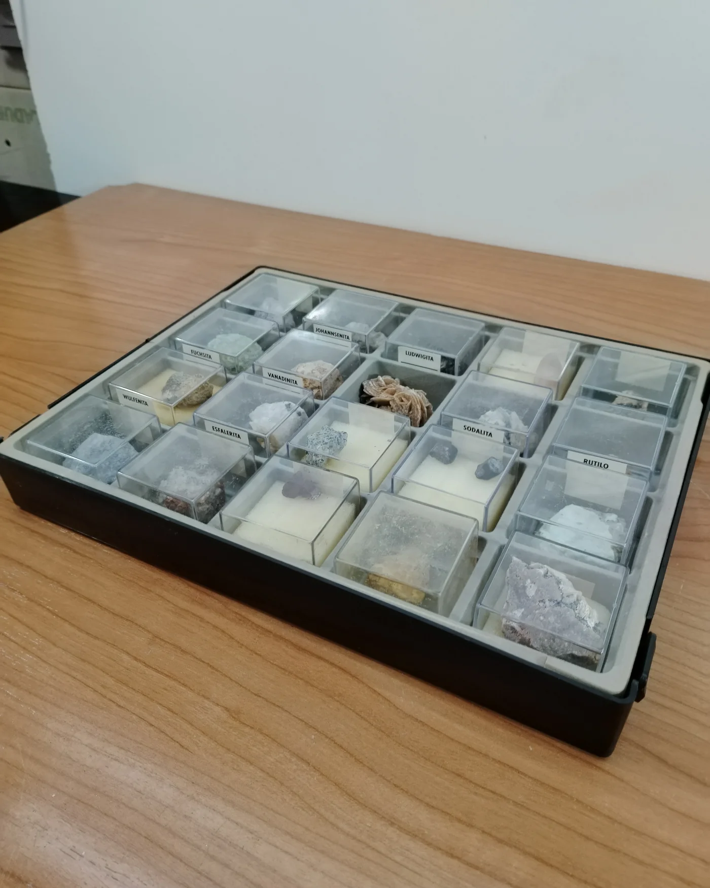 Colección de minerales geológicos en caja de exhibición - imagen 3