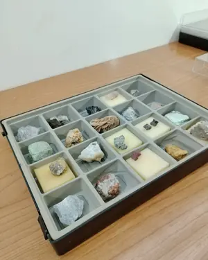 Colección de minerales geológicos en caja de exhibición - miniatura 5