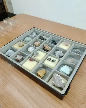 Colección de minerales geológicos en caja de exhibición - miniatura 6