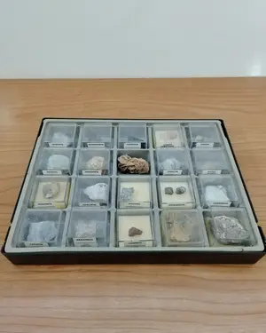 Colección de minerales geológicos en caja de exhibición - miniatura 7