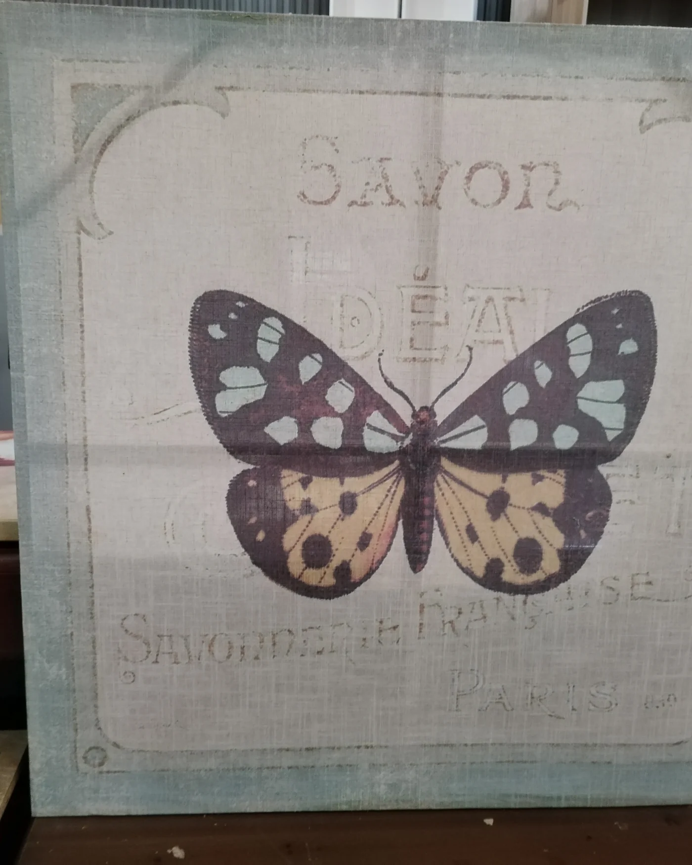 Cuadro vintage mariposa con texto francés - imagen 1