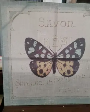 Cuadro vintage mariposa con texto francés - miniatura 1