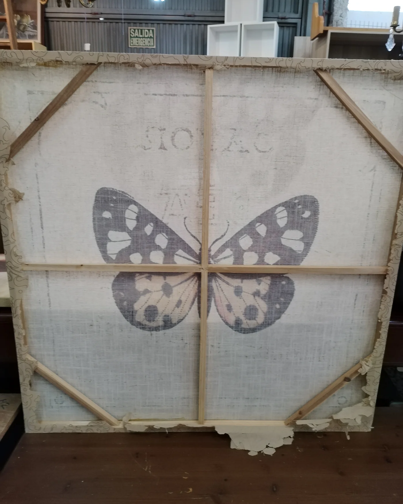 Cuadro vintage mariposa con texto francés - imagen 2