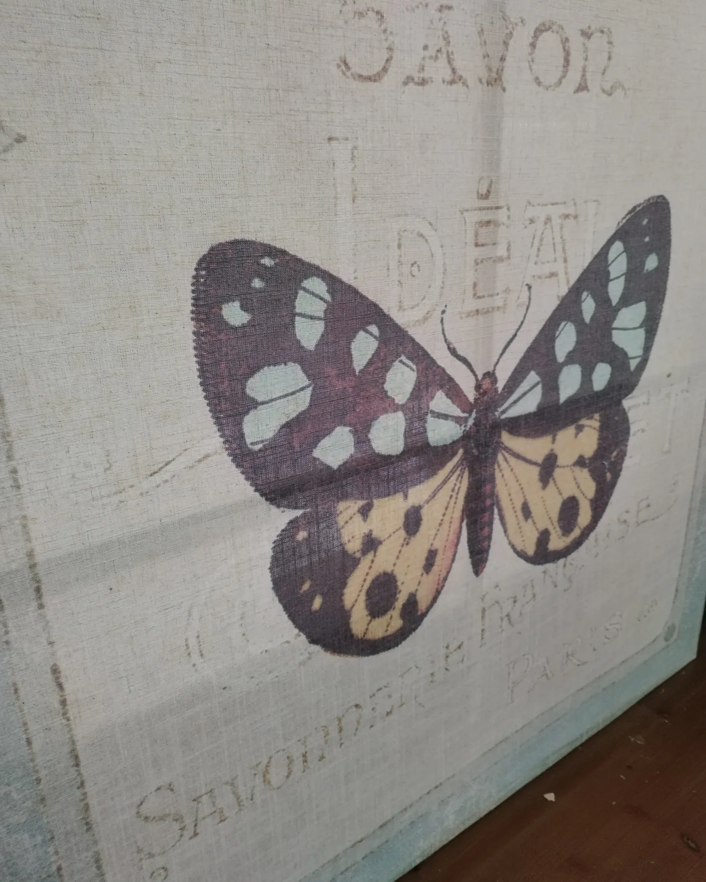 Cuadro vintage mariposa con texto francés - imagen 4