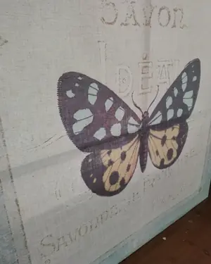 Cuadro vintage mariposa con texto francés - miniatura 4
