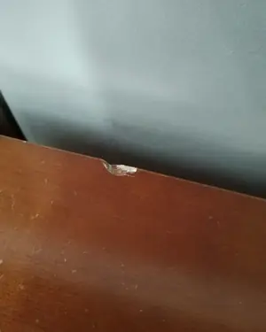 Estante de madera con base de almacenamiento - miniatura 3