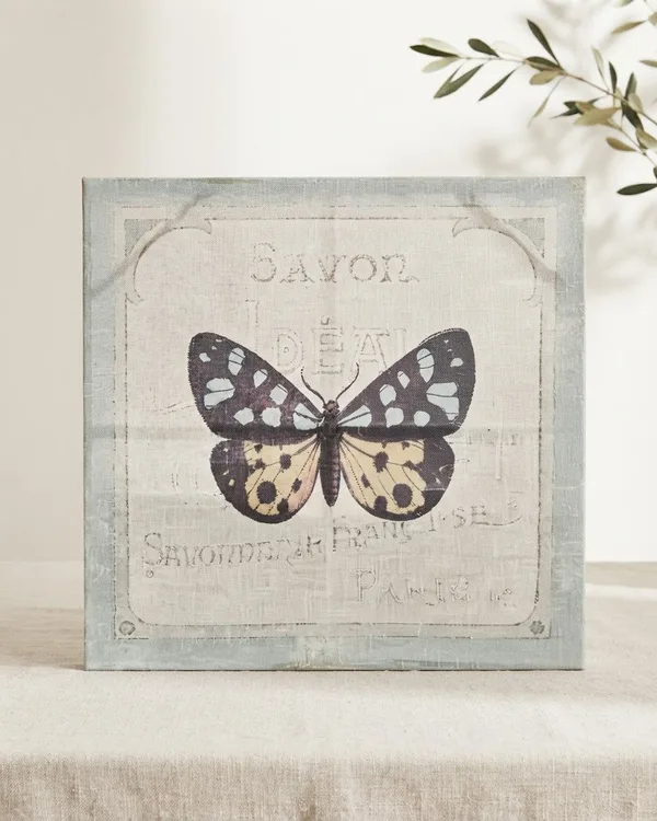 Cuadro Vintage Mariposa con Texto Francés