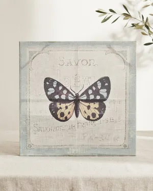 Cuadro Vintage Mariposa con Texto Francés - miniatura 1