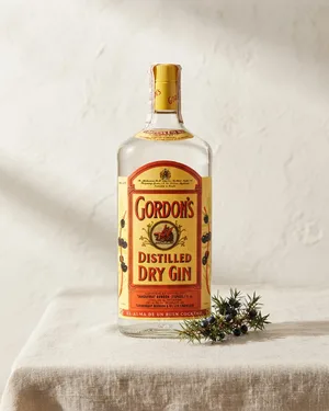 Botella gordon´s dry gin - miniatura 1