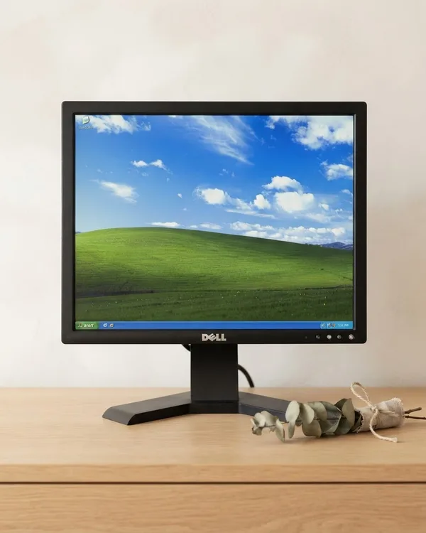 Monitor Dell 19 Pulgadas