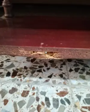 Estantería vintage de madera oscura con cuatro niveles - miniatura 5