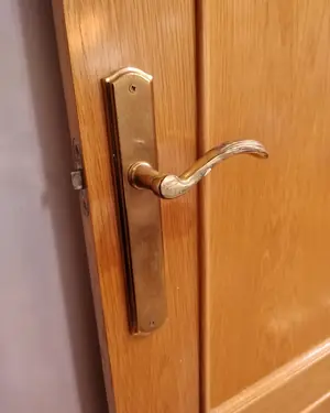 Puerta de interior de madera - miniatura 3