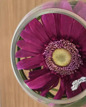 Flor decorativa SIA en esfera de cristal - miniatura 4